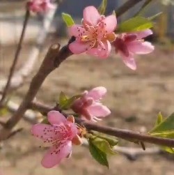 Campania „TOTUL VA FI BINE!” continuă…
